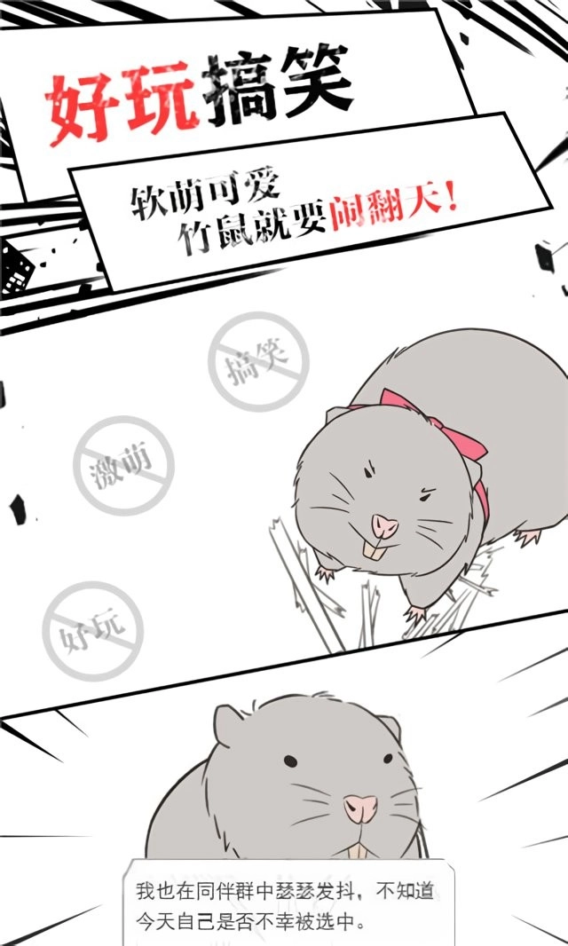 竹鼠求生记游戏官方版图3