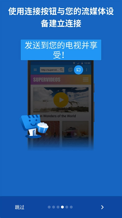 Web Video Caster高级版图4