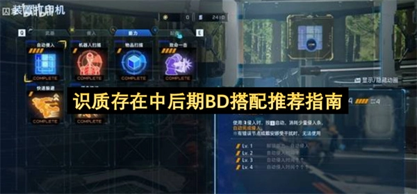 识质存在中后期BD搭配方案推荐指南