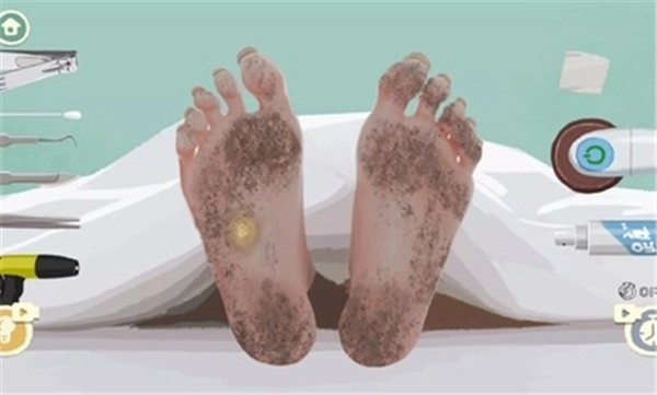 手作物语游戏官方最新版图2