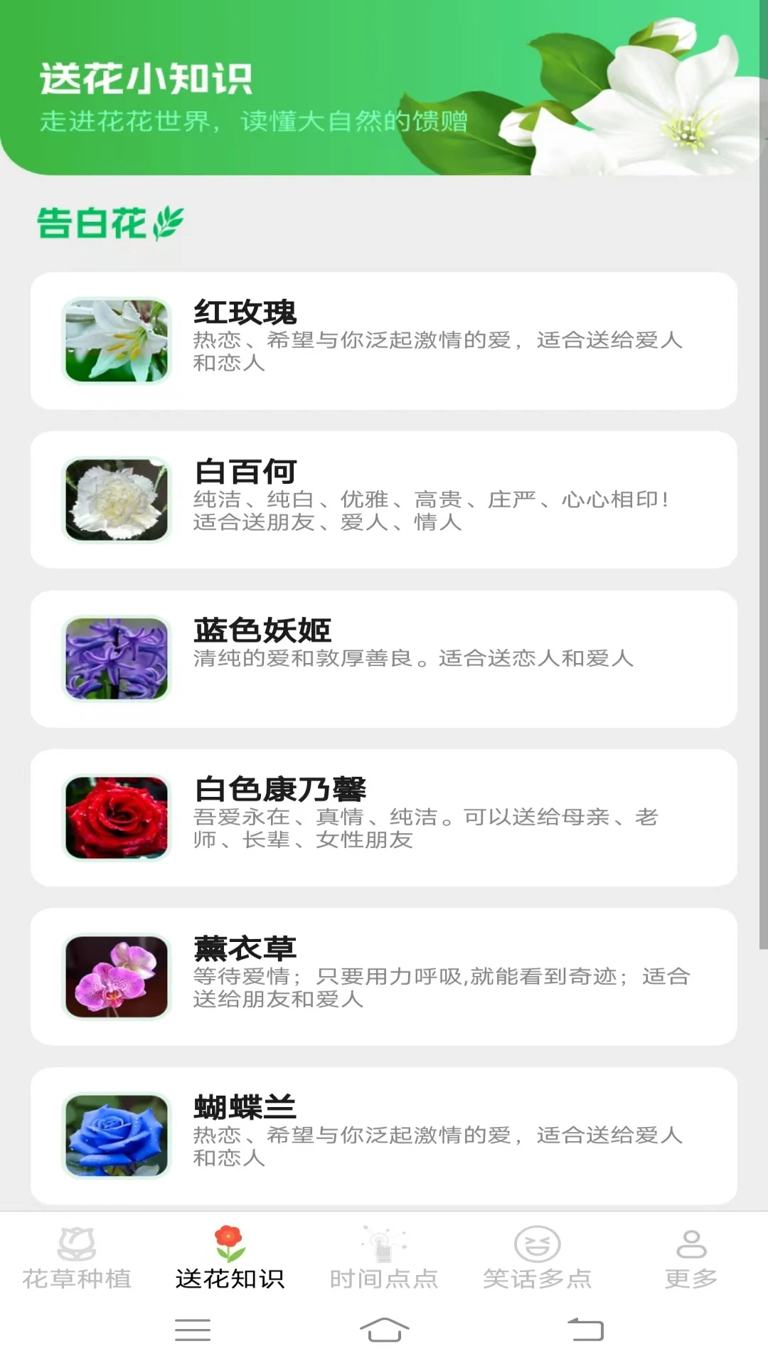 花草多点(3)