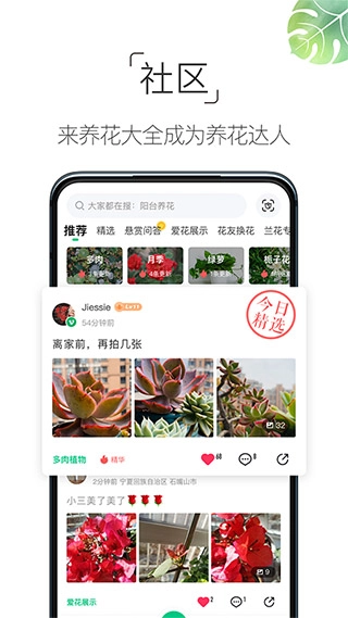 养花大全原版图5
