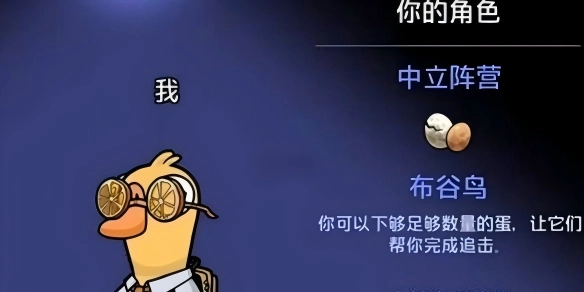 鹅鸭杀布谷鸟下蛋最佳地点指南
