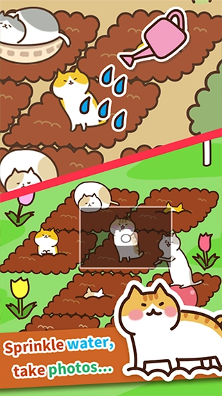 猫咪田园直装游戏版图1