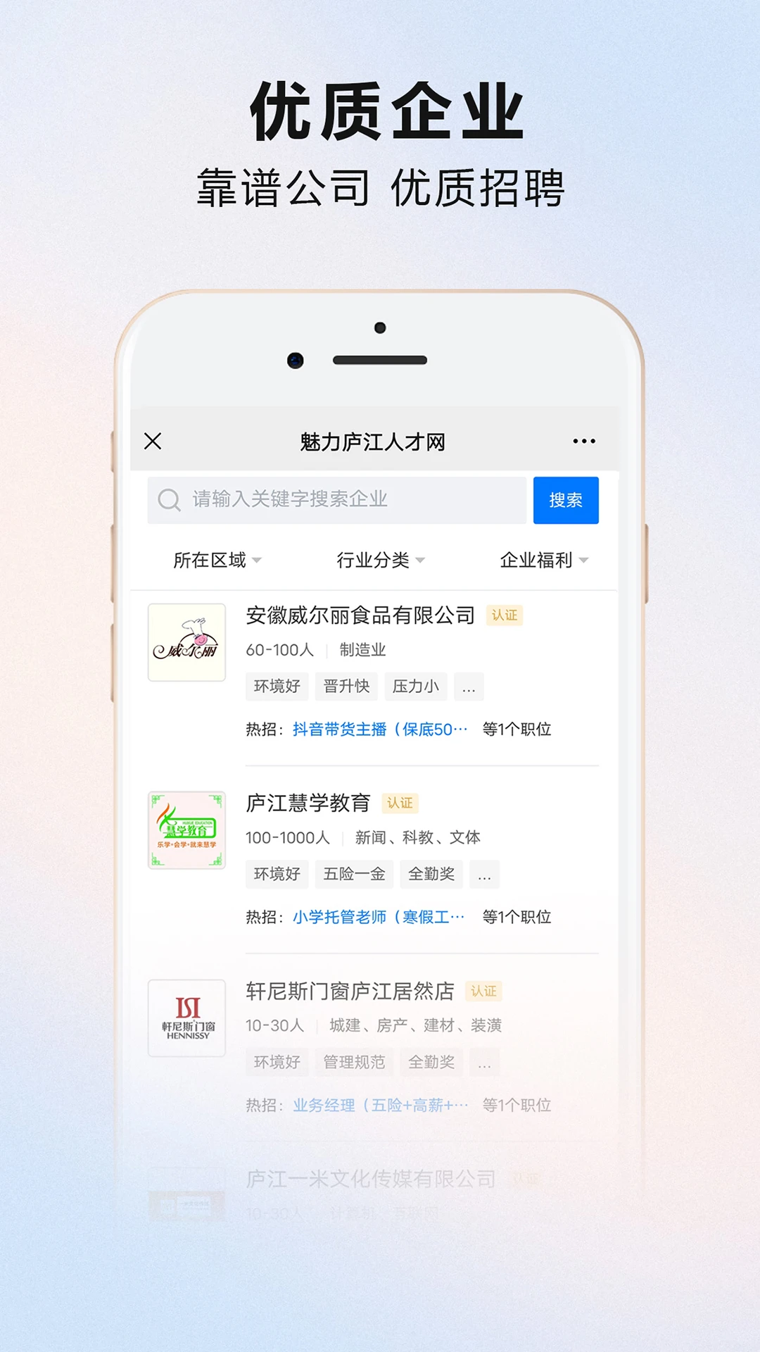 魅力庐江人才网(4)