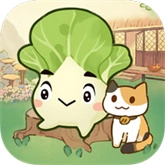 治愈小院轻松版