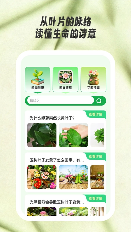 花见知免费原版图1