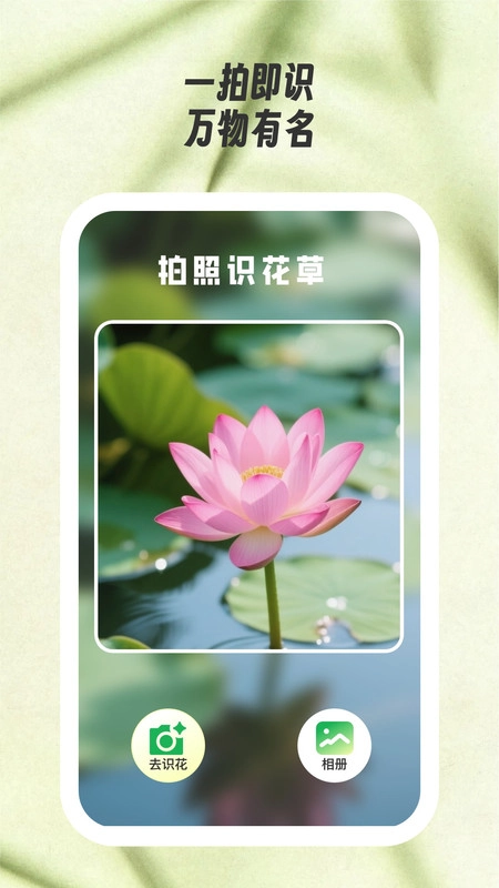 花见知免费原版图2
