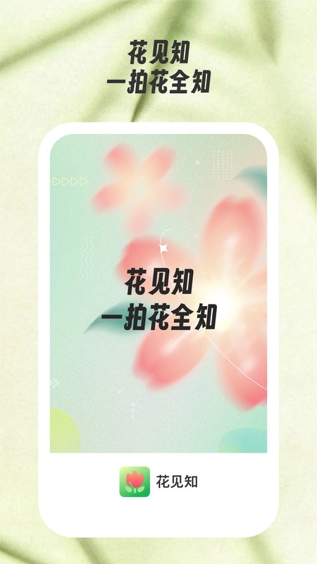 花见知免费原版图3