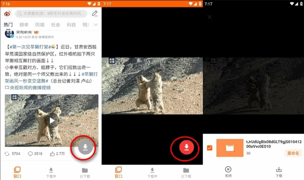 全能视频器安卓下载