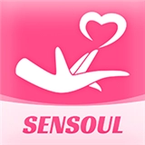 sensoul ai通用版