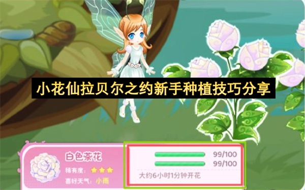 拉贝尔之约小花仙新手必看：种植技巧分享