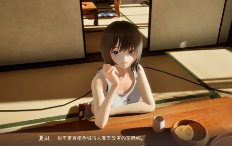夏姐我恋爱的30天汉化版图2