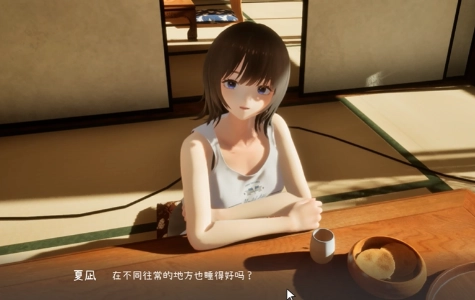 夏姐我恋爱的30天汉化版图3