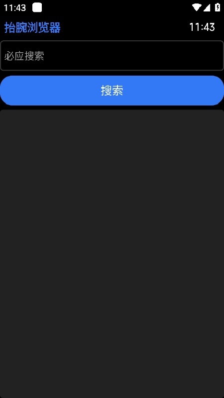 抬腕浏览器手表版图2