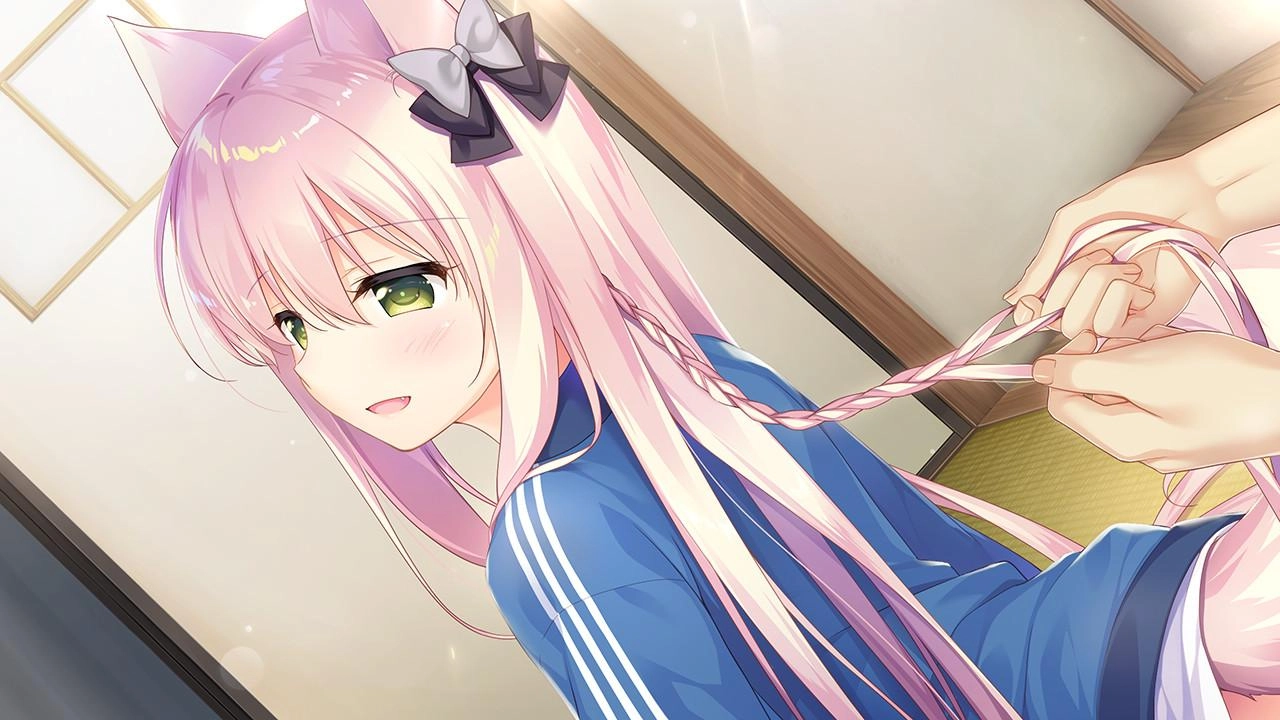 兽娘育成方案手机版(2)