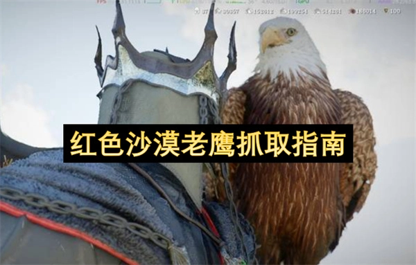 红沙漠老鹰捕获操作指南