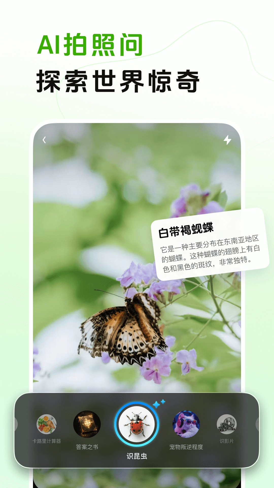 阶跃AI直装版图3