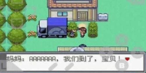 口袋妖怪绿宝石随机版截图1
