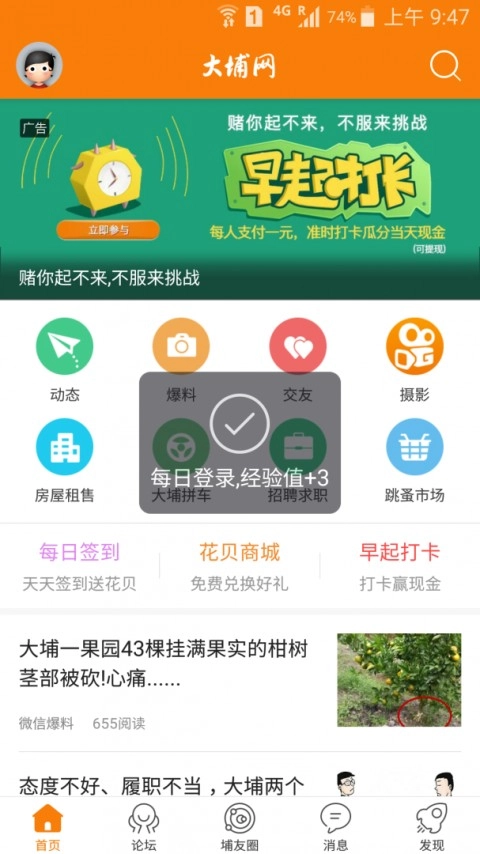 大埔网3