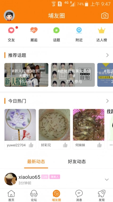 大埔网1