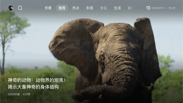 大西瓜TV最新版图4
