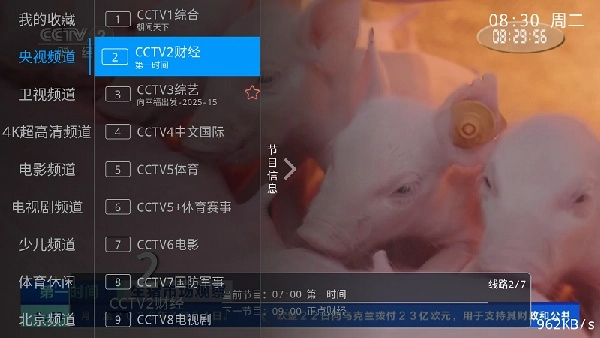 兔兔TV免费版