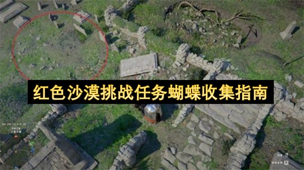 红色沙漠挑战任务蝴蝶收集攻略