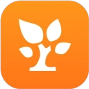 金数据通用版 v3.2.8