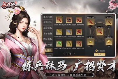 三国志吕布传内购版(5)