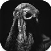 SARCOPH