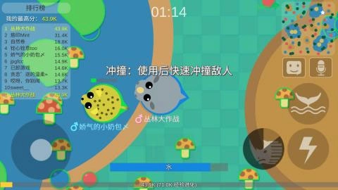丛林大作战官方最新版图2