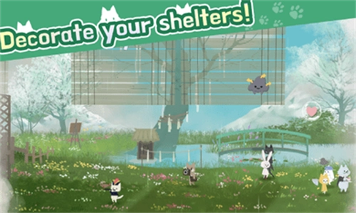 猫咪收容所最新版图3