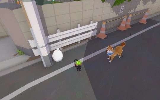 小猫咪大城市最新版(3)