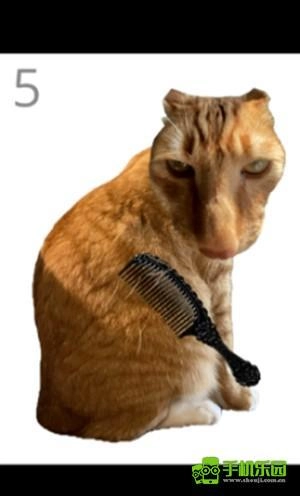 给猫梳毛安卓版下载