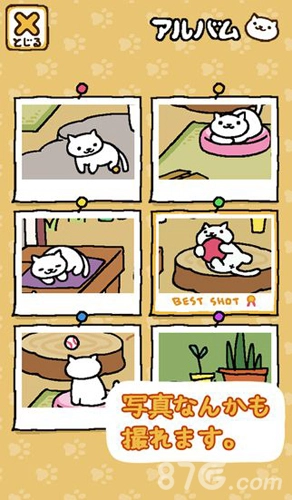 猫咪后院2手游直装版图2