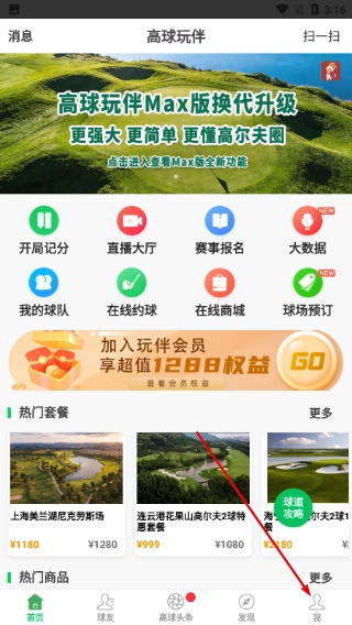 高球玩伴中文版下载
