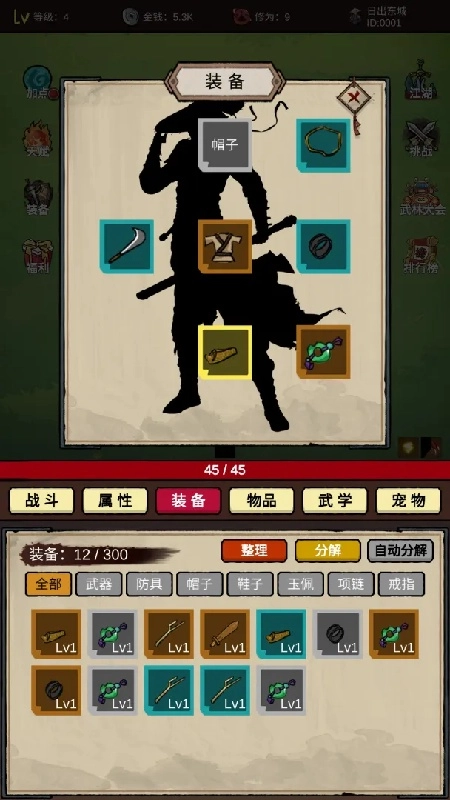 无敌挂机侠通用版图2