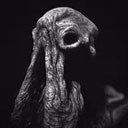 sarcoph游戏中文版