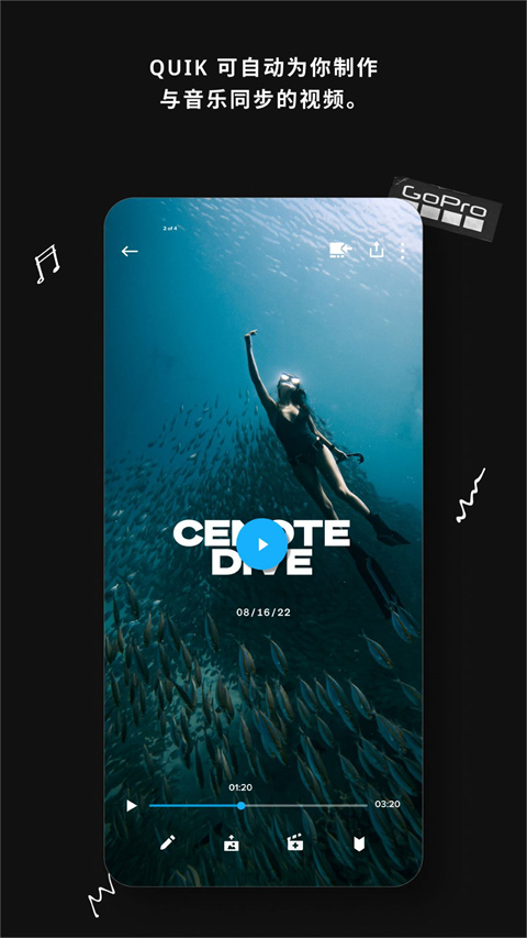GoProQuik1