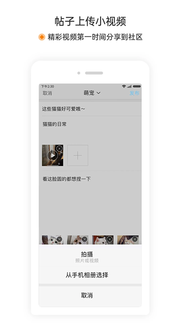 萧内网1