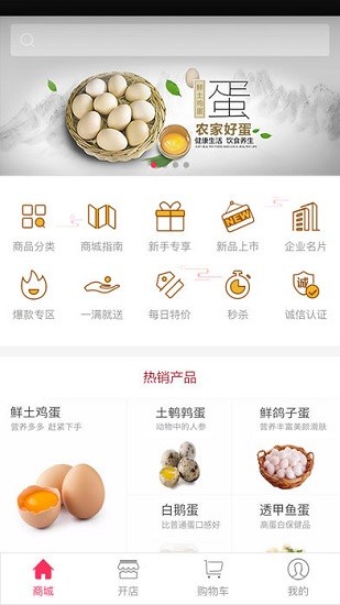 蛋蛋网(2)