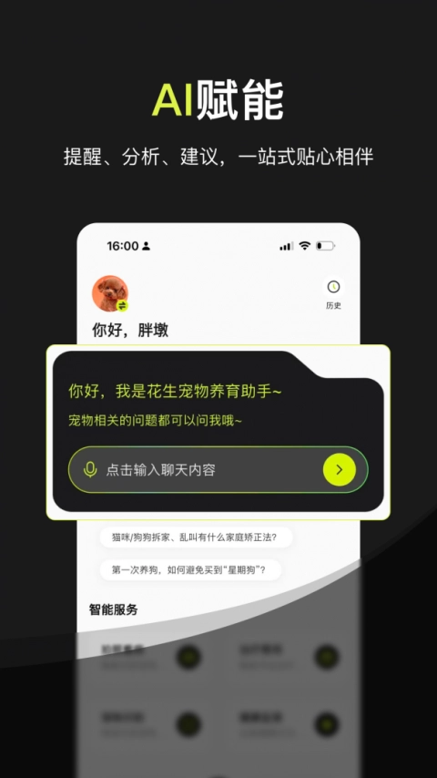 花生宠物