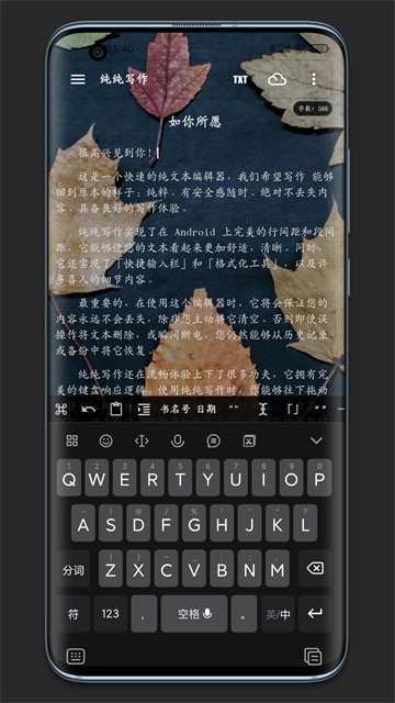 纯纯写作高级版(3)