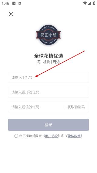 花生馅手机下载