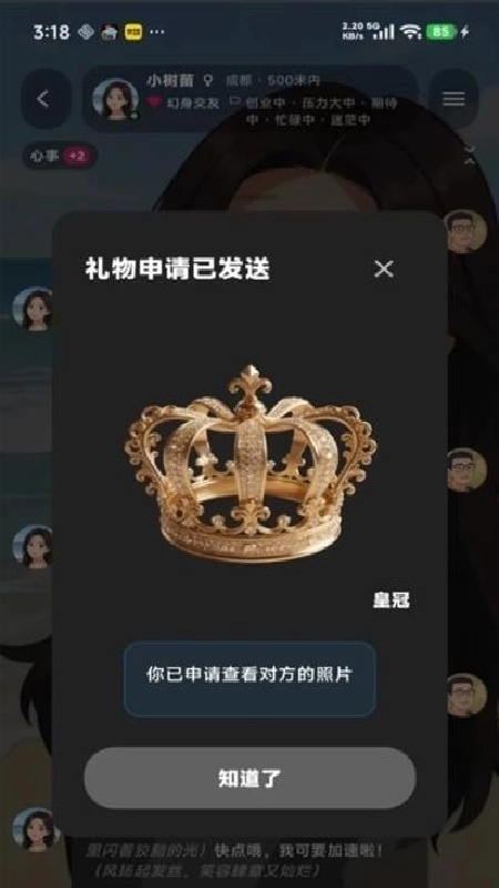 幻聊直装版图1