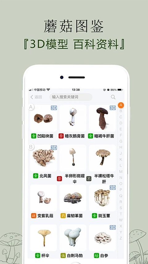 菌窝子官方版图2