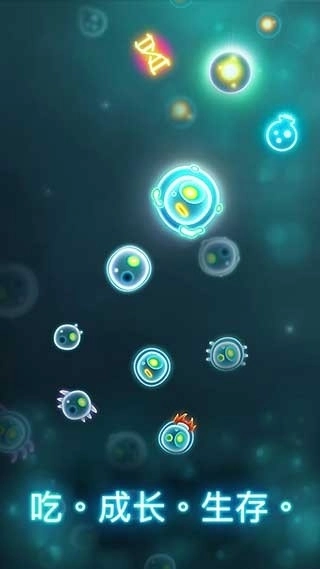 细菌大作战直装游戏版图1