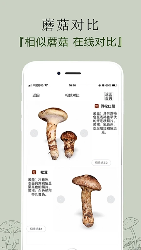 菌窝子官方版图1