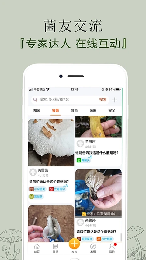 菌窝子官方版图4